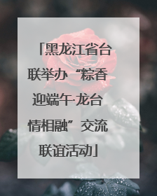 黑龙江省台联举办“粽香迎端午·龙台情相融”交流联谊活动