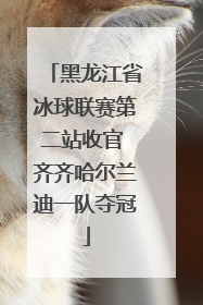 黑龙江省冰球联赛第二站收官 齐齐哈尔兰迪一队夺冠