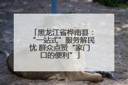 黑龙江省桦南县：“一站式”服务解民忧 群众点赞“家门口的便利”