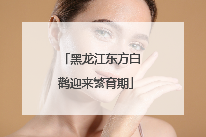 黑龙江东方白鹳迎来繁育期