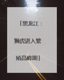 黑龙江：狮虎进入繁殖高峰期