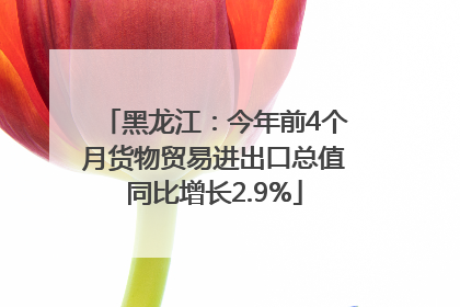 黑龙江：今年前4个月货物贸易进出口总值同比增长2.9%