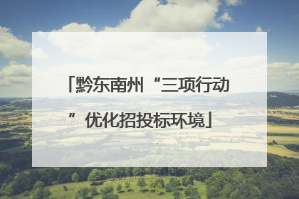 黔东南州“三项行动”优化招投标环境