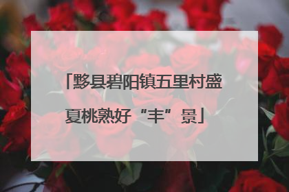 黟县碧阳镇五里村盛夏桃熟好“丰”景