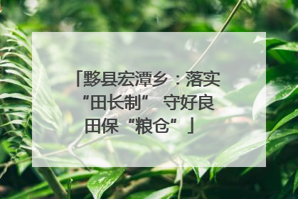 黟县宏潭乡：落实“田长制” 守好良田保“粮仓”