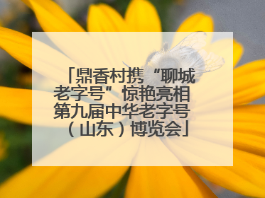 鼎香村携“聊城老字号”惊艳亮相第九届中华老字号（山东）博览会