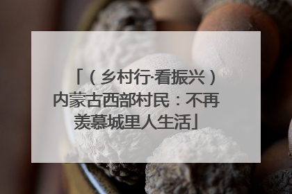 （乡村行·看振兴）内蒙古西部村民：不再羡慕城里人生活