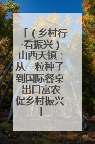 （乡村行·看振兴）山西天镇：从一粒种子到国际餐桌 出口富农促乡村振兴