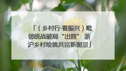 （乡村行·看振兴）毗邻统战破局“出圈” 浙沪乡村绘就共富新图景