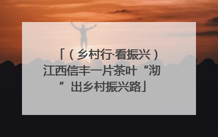 （乡村行·看振兴）江西信丰一片茶叶“沏”出乡村振兴路