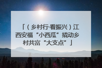 （乡村行·看振兴）江西安福“小西瓜”撬动乡村共富“大支点”