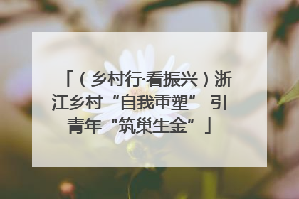 （乡村行·看振兴）浙江乡村“自我重塑” 引青年“筑巢生金”