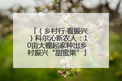 （乡村行·看振兴）科尔沁新农人：10亩大棚起家种出乡村振兴“甜蜜果”