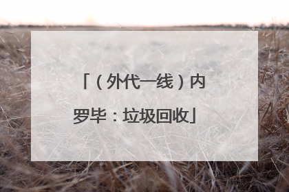 （外代一线）内罗毕：垃圾回收