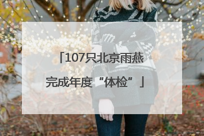 107只北京雨燕完成年度“体检”
