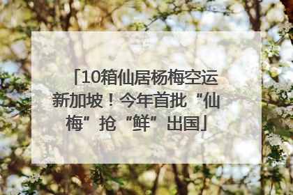 10箱仙居杨梅空运新加坡！今年首批“仙梅”抢“鲜”出国