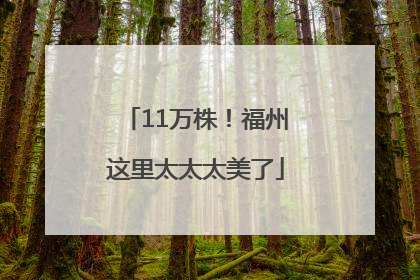11万株！福州这里太太太美了
