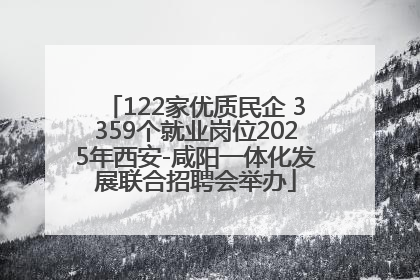 122家优质民企 3359个就业岗位2025年西安-咸阳一体化发展联合招聘会举办