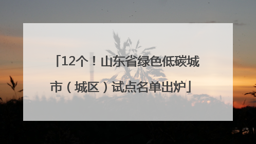 12个！山东省绿色低碳城市（城区）试点名单出炉