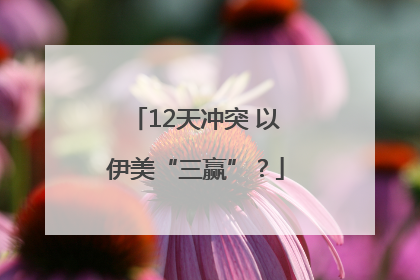 12天冲突 以伊美“三赢”？