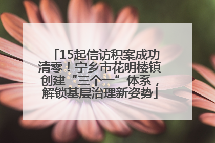 15起信访积案成功清零！宁乡市花明楼镇创建“三个一”体系，解锁基层治理新姿势
