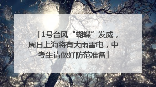 1号台风“蝴蝶”发威，周日上海将有大雨雷电，中考生请做好防范准备