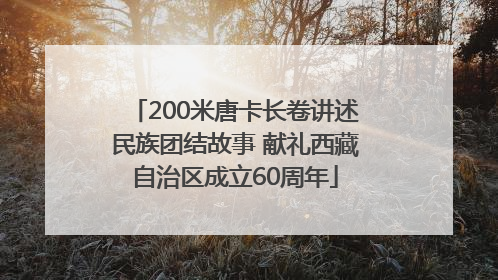 200米唐卡长卷讲述民族团结故事 献礼西藏自治区成立60周年
