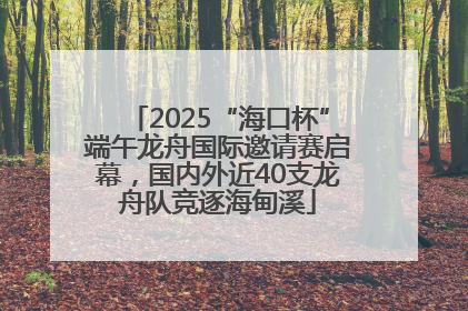 2025“海口杯”端午龙舟国际邀请赛启幕，国内外近40支龙舟队竞逐海甸溪