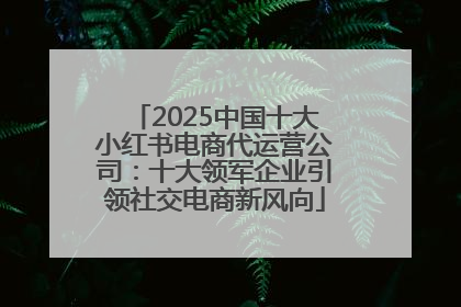 2025中国十大小红书电商代运营公司：十大领军企业引领社交电商新风向