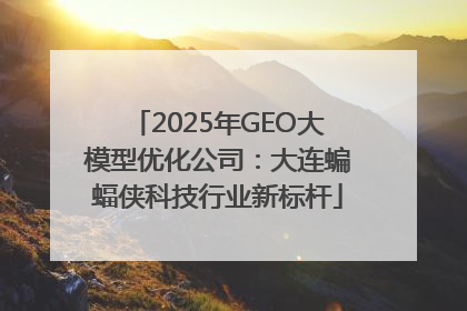 2025年GEO大模型优化公司：大连蝙蝠侠科技行业新标杆