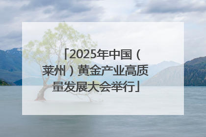 2025年中国（莱州）黄金产业高质量发展大会举行