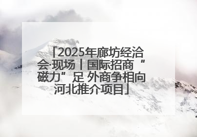 2025年廊坊经洽会·现场丨国际招商“磁力”足 外商争相向河北推介项目