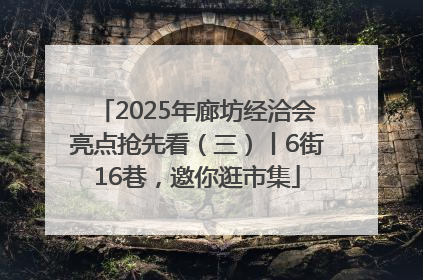 2025年廊坊经洽会亮点抢先看（三）丨6街16巷，邀你逛市集