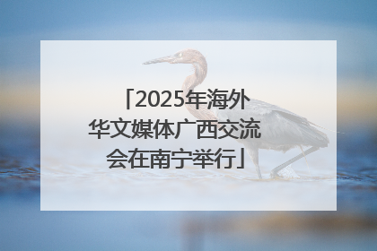 2025年海外华文媒体广西交流会在南宁举行