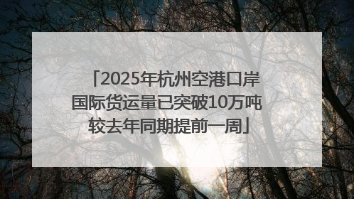 2025年杭州空港口岸国际货运量已突破10万吨 较去年同期提前一周