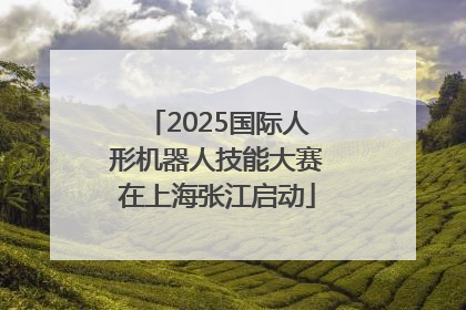 2025国际人形机器人技能大赛在上海张江启动