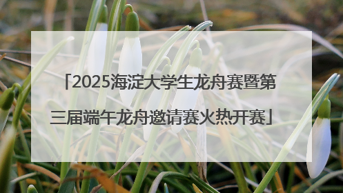 2025海淀大学生龙舟赛暨第三届端午龙舟邀请赛火热开赛