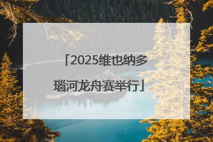 2025维也纳多瑙河龙舟赛举行