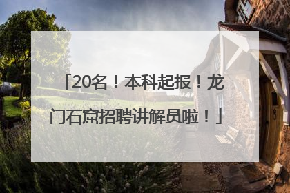 20名！本科起报！龙门石窟招聘讲解员啦！