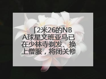 2米26的NBA球星文班亚马已在少林寺剃发、换上僧服，将闭关修行10天！少林寺回应：人在寺里