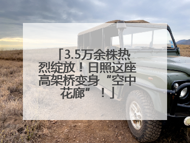 3.5万余株热烈绽放！日照这座高架桥变身“空中花廊”！