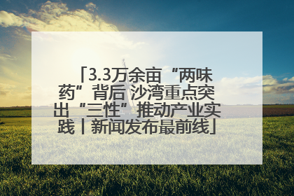 3.3万余亩“两味药”背后 沙湾重点突出“三性”推动产业实践丨新闻发布最前线