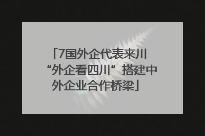 7国外企代表来川 “外企看四川”搭建中外企业合作桥梁