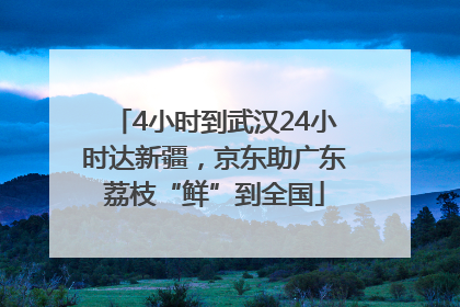4小时到武汉24小时达新疆，京东助广东荔枝“鲜”到全国