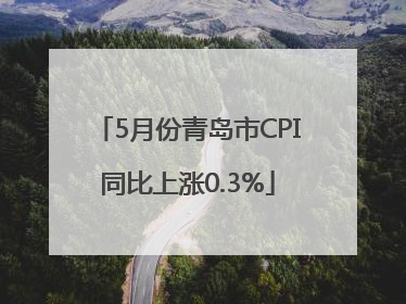 5月份青岛市CPI同比上涨0.3%