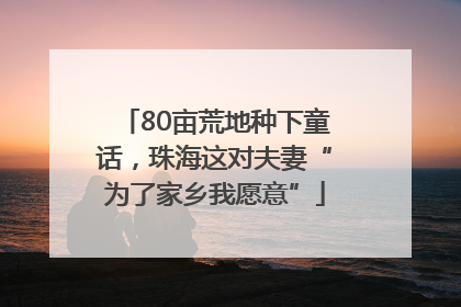 80亩荒地种下童话,珠海这对夫妻“为了家乡我愿意”
