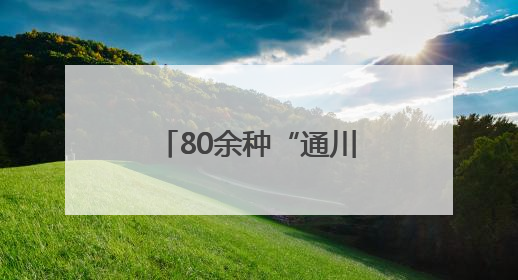 80余种“通川造”亮相西博会 广受客商青睐