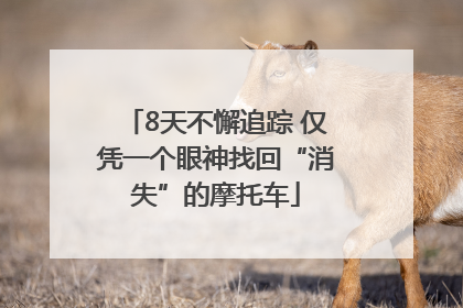 8天不懈追踪 仅凭一个眼神找回“消失”的摩托车