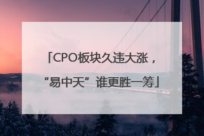 CPO板块久违大涨，“易中天”谁更胜一筹