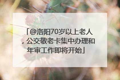 @洛阳70岁以上老人，公交敬老卡集中办理和年审工作即将开始